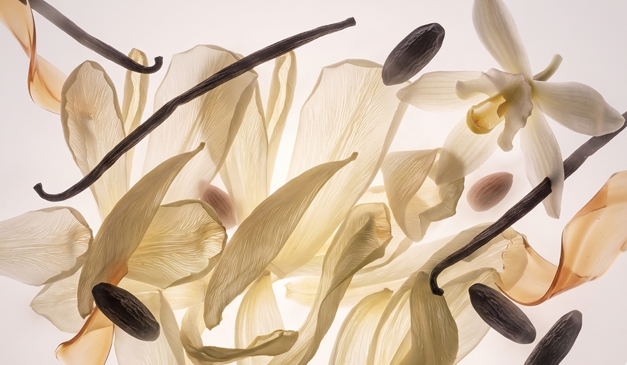Vanilla Suede ingredients